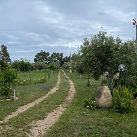 Holiday home L'uliveto House