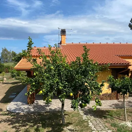 L'uliveto House Holiday home Muravera