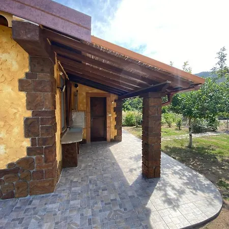 L'uliveto House Holiday home