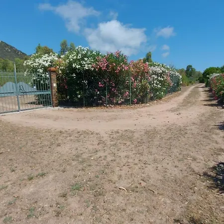 Holiday home L'uliveto House Muravera