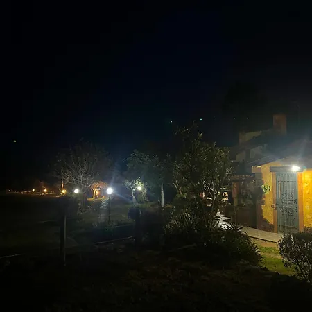 L'uliveto House Holiday home