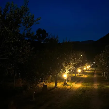 Holiday home L'uliveto House *
