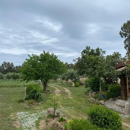 Holiday home L'uliveto House *