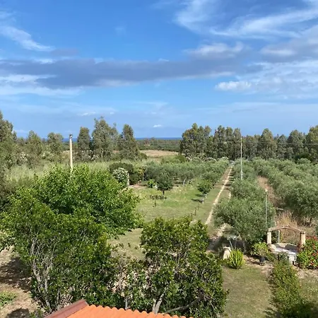 Holiday home L'uliveto House