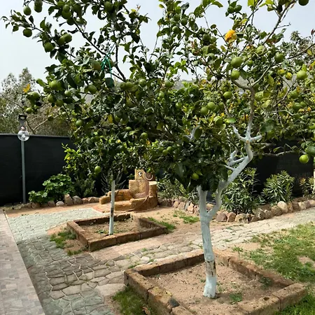 Ferienhaus L'uliveto House